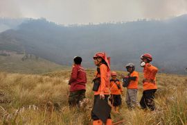 BPBD Probolinggo siaga penuh, antisipasi kebakaran Gunung Bromo meluas