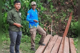 Balai Besar Taman Nasional Lore Lindu amankan kayu hasil pembalakan liar di Sigi
