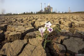 Embung irigasi di Indramayu mengering, 550 hektare sawah terancam gagal panen