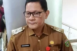 Dinkes sumsel waspadai lonjakan kasus ISPA saat puncak kemarau dan karhutla