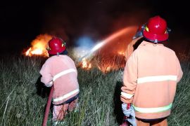 Pemkab Jayawijaya padamkan kebakaran hutan di Distrik Pugima