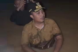 Aksi Vasko Ruseimy di tengah banjir Padang, berendam langsung bantu warga terdampak