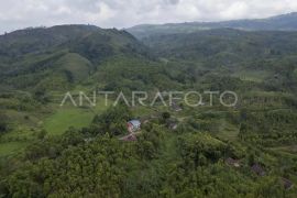 Transmigran Kerinci menunggu penyelesaian hak lahan