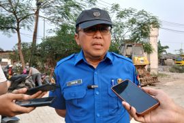 Puluhan hektare tanaman padi di Tangerang terancam puso