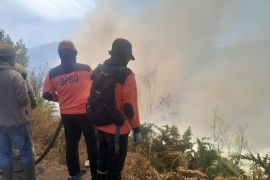 BPBD: Kebakaran di Bromo mulai menjalar ke arah Malang