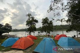 Kelompok tani hutan diarahkan untuk diversifikasi komoditas non-kayu