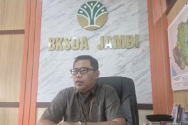 BKSDA Jambi ajak elemen masyarakat jaga kelestarian gajah sumatra