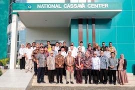 Indonesia eyes cassava a future growth driver through research center