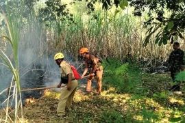 BPBD Magetan ingatkan jangan sembarangan nyalakan api di area mudah terbakar