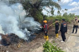 Pemkab Murung Raya tingkatkan kewaspadaan karhutla