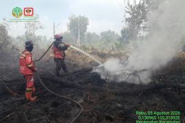 Manggala Agni: Karhutla di Kerumutan Pelalawan Riau capai 54 hektare