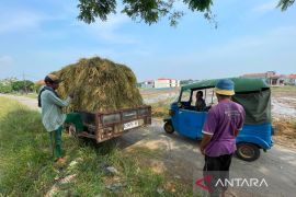 Pemkab Cirebon memastikan penetapan LP2B jadi dasar penataan investasi