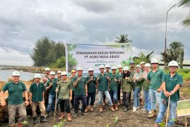 PT Agro Nusa Abadi tanam 100 mangrove di Morowali untuk perkuat konservasi pesisir