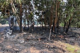Kawasan eks arena MTQ Muara Bulian terjadi kebakaran