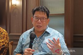 IESR sebut Program PLTS 100 GW dukung pertumbuhan ekonomi