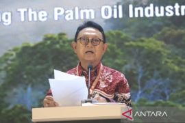 GAPKI: legalitas lahan jadi kunci peremajaan sawit rakyat