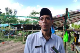 Serapan pupuk subsidi di Mataram sesuai target