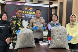 Polisi ungkap perdagangan ilegal sisik trenggiling di Pontianak
