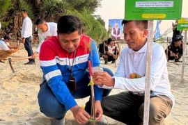 Pertamina Patra Niaga dukung Festival Mangrove Jawa Timur di Pantai Panduri Tuban