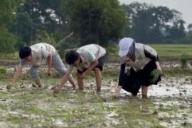 Mahasiswa Universitas Malahayati dampingi petani terapkan ergonomi dan pestisida nabati