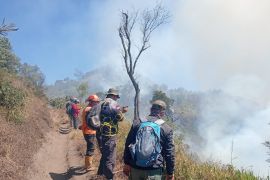 Karhutla TNBTS mengarah ke Wisata B29 Lumajang