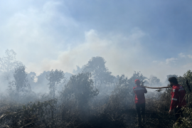 Dishut Kalteng ajak penguatan kolaborasi optimalkan penanganan karhutla