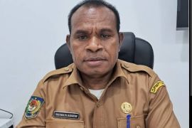 Pemprov Papua Selatan: PSN Tebu Merauke serap investasi Rp85 triliun