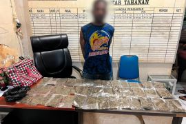Polisi tangkap WNA PNG bawa 40 paket ganja ke Jayapura