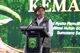 Indonesia bolsters nursery network to back environmental push