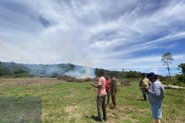 Pemerintah bantu cetak 1.000 hektare sawah rakyat baru di Aceh Jaya