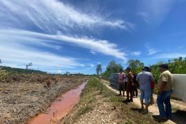 Dinas pertanian Aceh Jaya cetak 1.000 hektare sawah baru tahun ini
