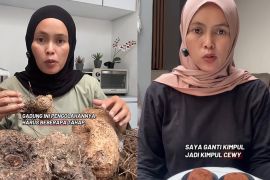 Dijuluki Duta Ketahanan Pangan, kreator ini viralkan kimpul, apa itu kimpul?