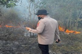 Polres Banjarbaru usut dugaan pidana penyebab karhutla di Cempaka
