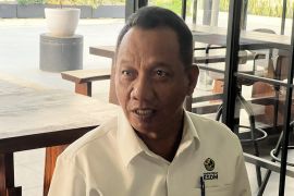 Indonesia studies Trans-Java expressway solar project for 100 GW plan