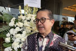 Smelter Freeport mulai terima pasokan konsentrat dari tambang di Papua
