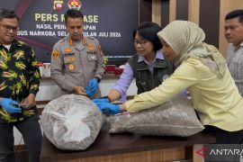 Perburuan trenggiling ancam ekosistem hutan Kalbar
