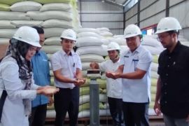 Pemkab Simeulue pastikan beras bantuan penuhi standar mutu
