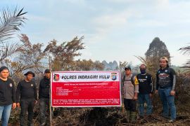 Buang puntung rokok sembarang, pelangsir sawit sebabkan karhutla lima hektare