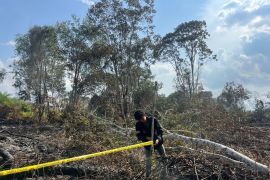 Polres Pelalawan tetapkan tersangka pembakar lahan Kerumutan