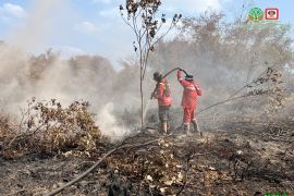 100 hektare lebih kebakaran lahan di Riau masih ditangani, sumber air jadi kendala