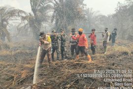 Tim gabungan berjibaku jinakkan api 12,5 ha di dua lokasi di Bengkalis Riau