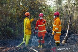 BPBD Kaltim susun regulasi karhutla perkuat tata kelola lingkungan