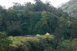 30 hektare lahan terbakar di kaki Gunung Rinjani, api berhasil dipadamkan