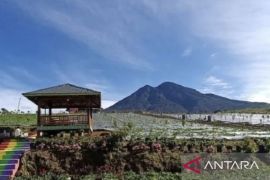 50 pemandu Gunung Masurai kantongi sertifikat