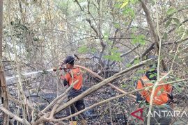 Karhutla di Muara Enim menyebar ke tiga desa