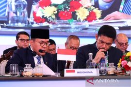 Mendag dorong perdagangan berbasis aturan untuk UMKM di BRICS