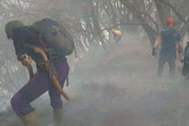 Mount Gede Pangrango fire extinguished, trails closed until Aug. 11