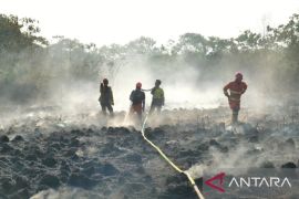 Dishut Kaltim perkuat pengamanan hutan dan libatkan masyarakat