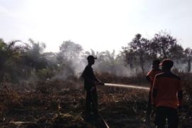 Pusdalops catat lima hektare terdampak karhutla di Labuhanbatu