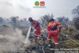 Dinkes Riau siapkan bantuan 18 ribu masker untuk Pelalawan, besok dikirim
